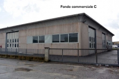 FC_C_1